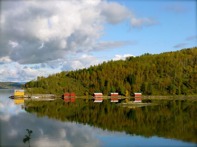 Bilde av Breivik i Salten, blikkstille fjord og naust ved havet.foto