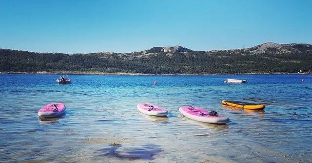 bilder av SUP-brett som ligger på vannet på en strand.foto